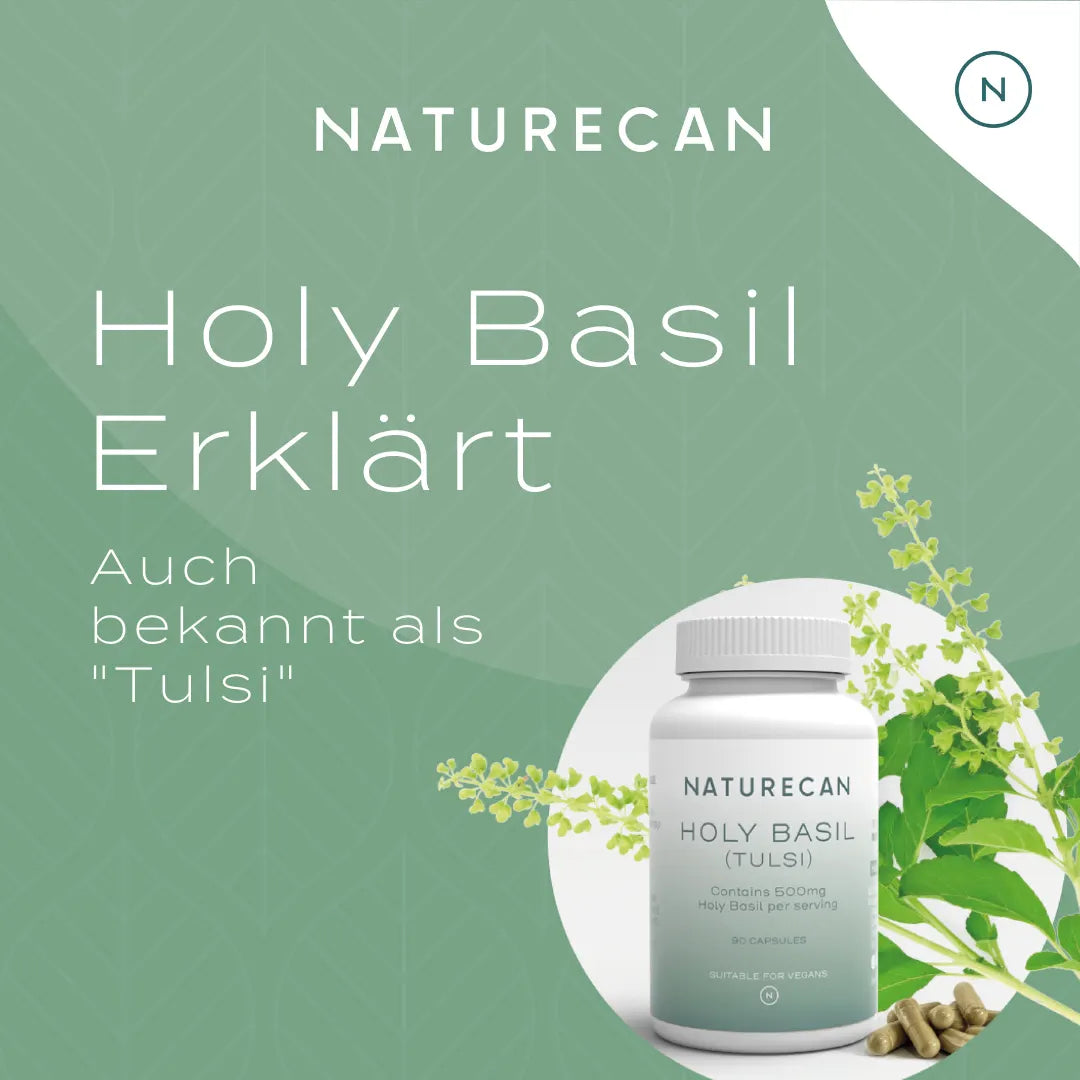 Holy Basil Kapseln - Tulsi Extrakt