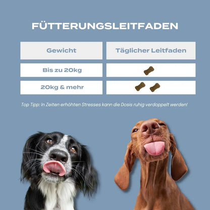 Fütterungsleitfaden naturecan