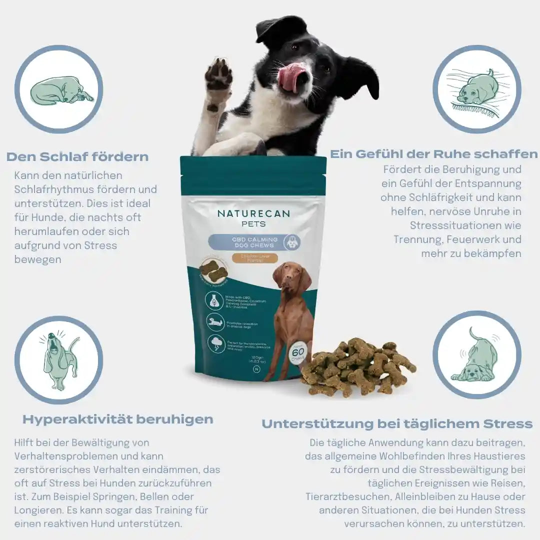 Eigenschaften CBD Leckerlis